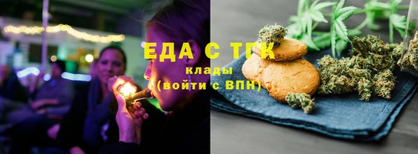 шишки Верея