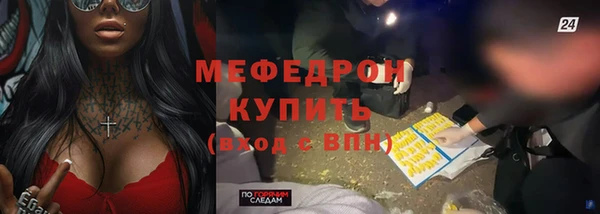 шишки Верея