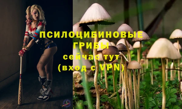 прущие крисы Усолье-Сибирское
