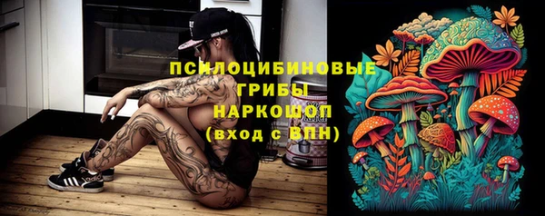молекула духа Володарск