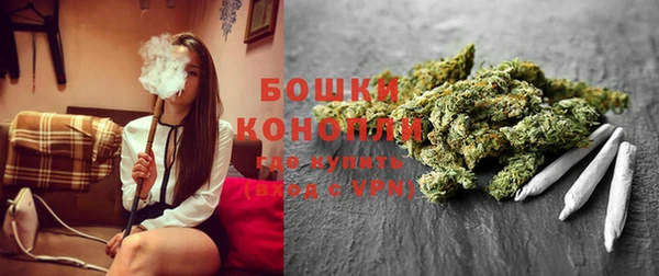 шишки Верея
