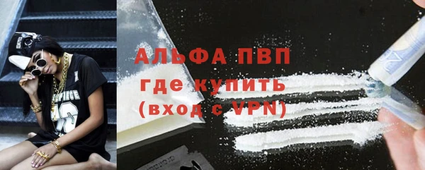шишки Верея